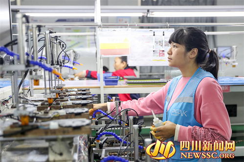 四川廣安 打造電子信息產業集群 讓 華鎣造 走向世界 圖