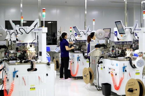 瀘州納溪 搶抓新質(zhì)生產(chǎn)力機(jī)遇 為高質(zhì)量發(fā)展蓄勢賦能